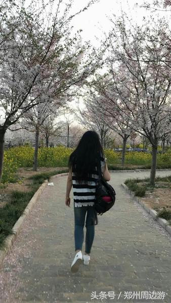 孤柏渡黄河塬蹦极,孤柏渡黄河旅游风景区蹦极还有吗