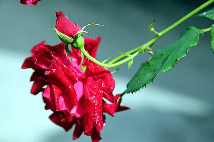 女人五十岁对应生活需求还高吗,女人五十岁后雌激素旺盛的表现