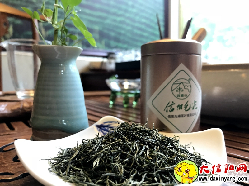 信阳市第二十六届茶文化节,第二十八届信阳茶叶文化节开幕式