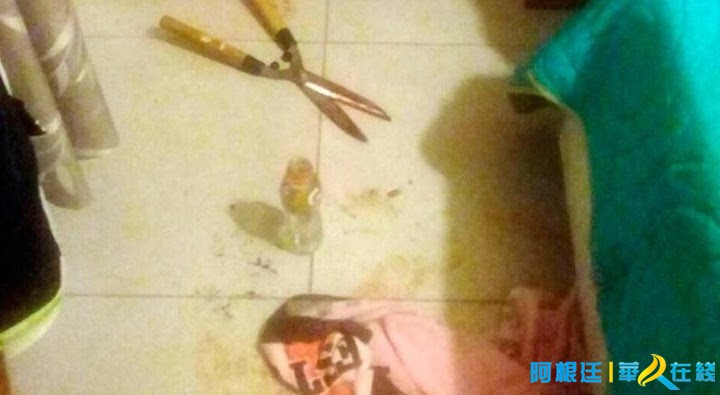 阿根廷女犯监狱,阿根廷女子入狱11年