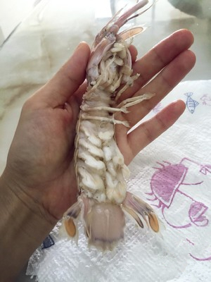 剥了皮的皮皮虾虾肉怎么吃,皮皮虾怎么吃可以完整地取出虾肉