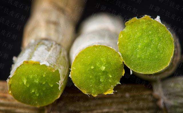 铁皮石斛泡水喝的功效作用,铁皮石斛酿酒的功效