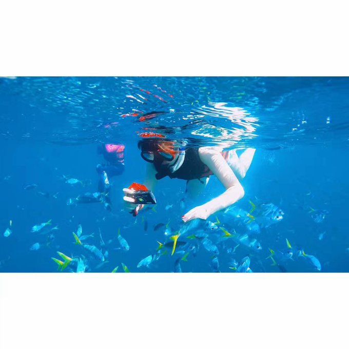 看我这发型酷不酷｜我觉得很可爱啊！帕劳潜水超级赞！