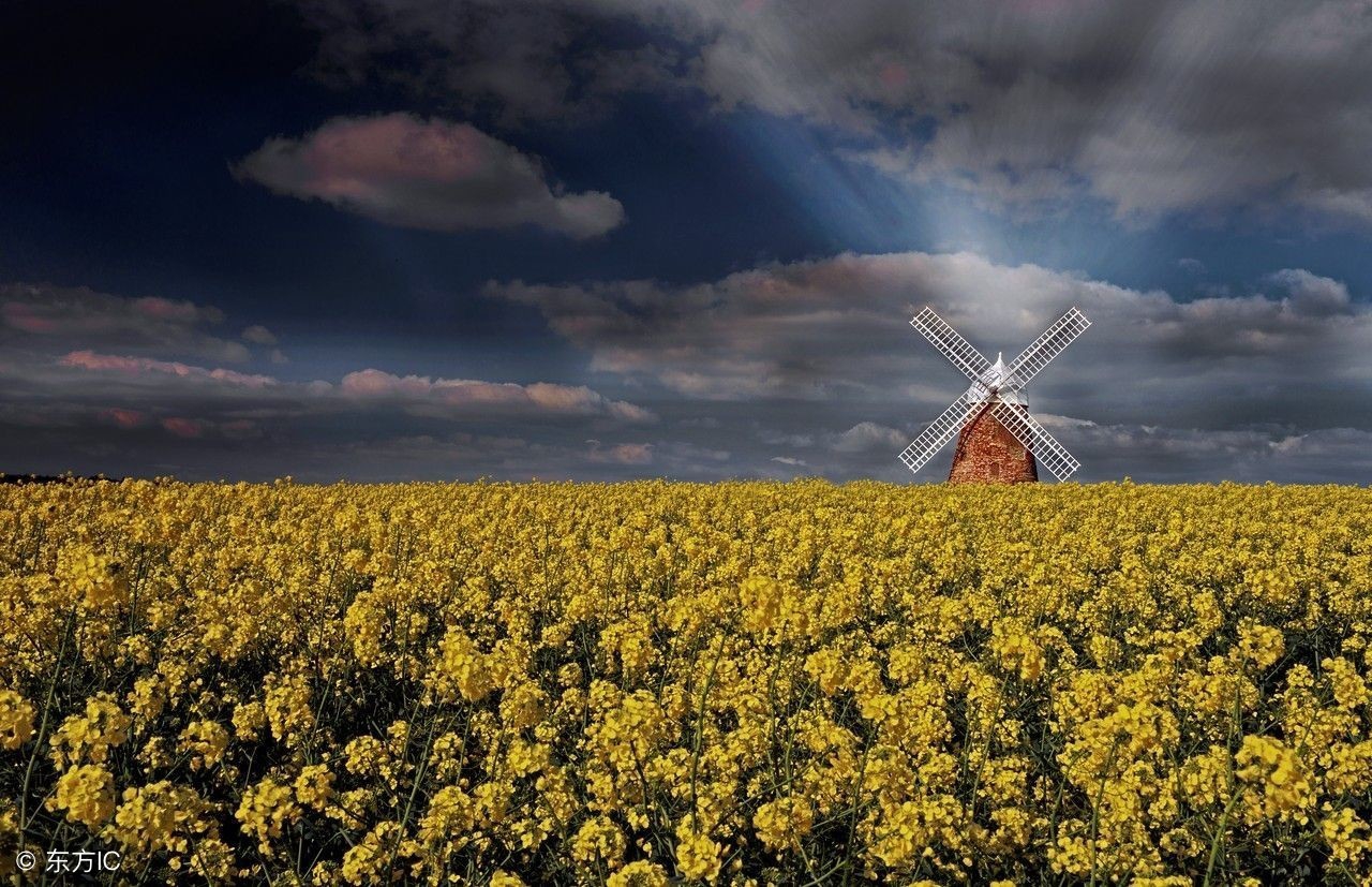 长大了请告别童真,放下梦想准备战斗