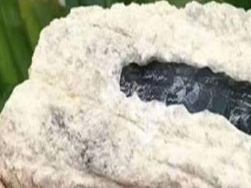 上等莫西沙红雾,上等莫西沙的皮壳表现