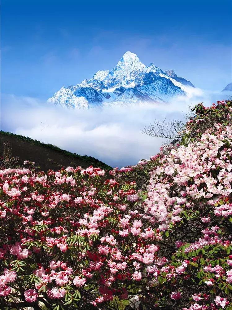 五一成都周边有什么好耍的,五一自驾游2-3天最佳路线成都出发