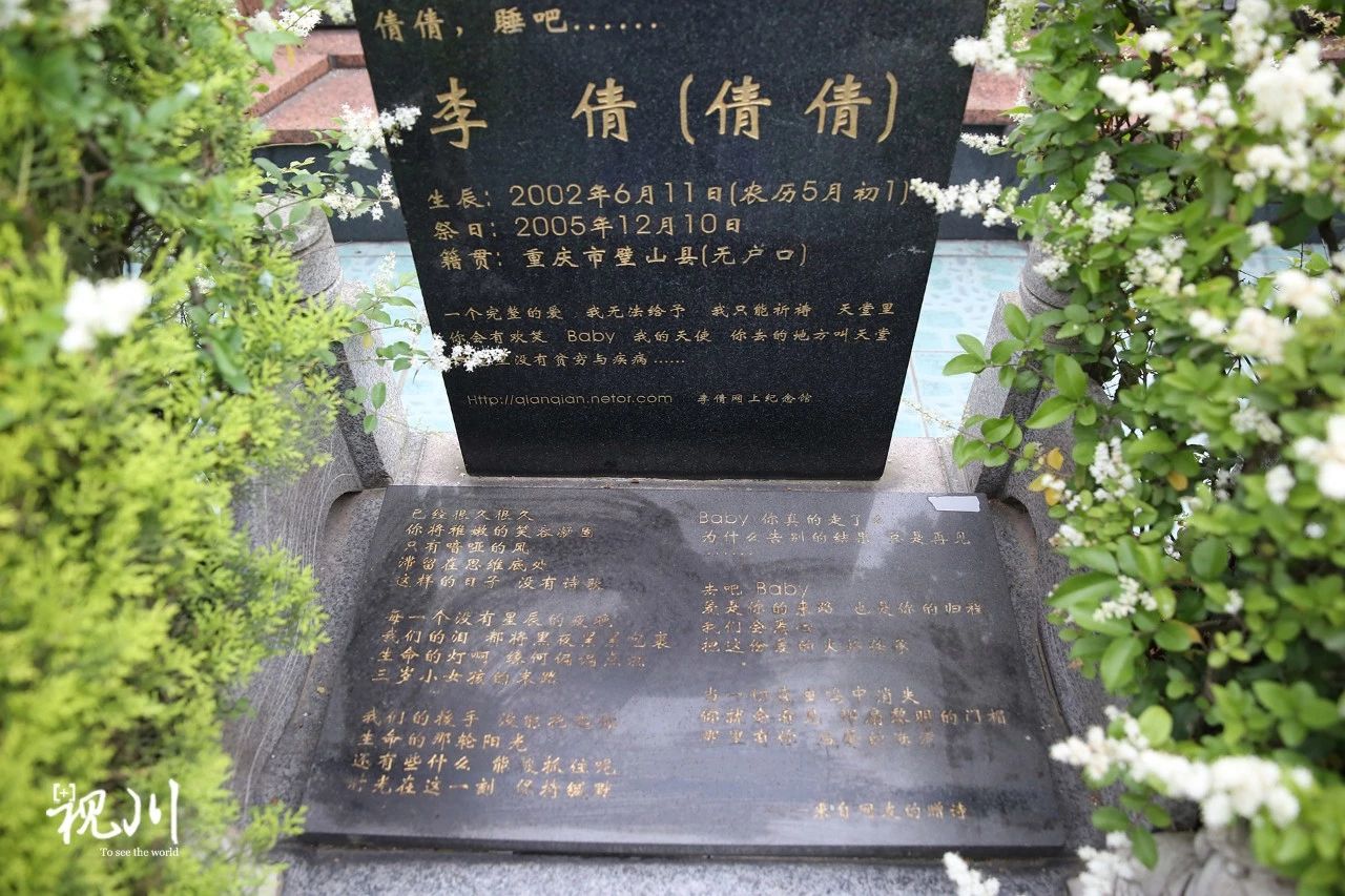 气球葬礼母亲,气球墓园