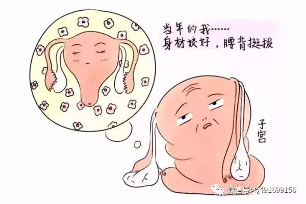 产后子宫恢复训练有哪些动作,生产后子宫多久恢复原来大小