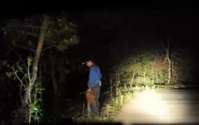 一晚能挣300元的产品,一晚能赚上万元红虫