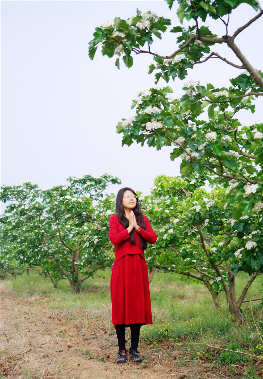 中国清河羊绒衫,清河中国羊绒价格