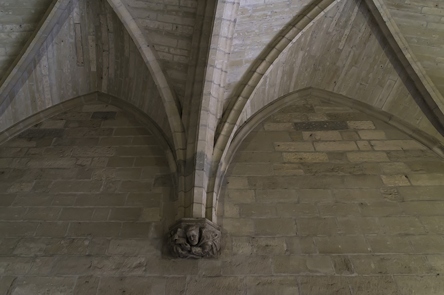 清明时节游法兰西赏历史文化之四：阿维尼翁