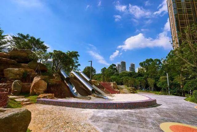 最真实的荔枝花海,广州荔枝花海