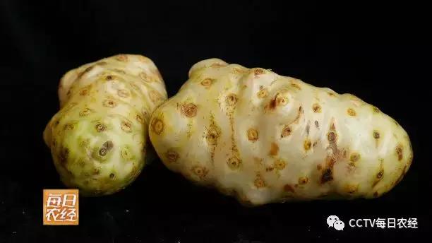 又酸又苦的热带水果,超级酸的热带水果