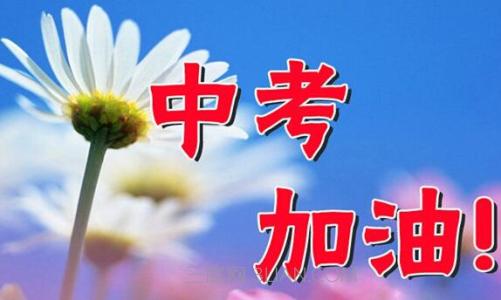 中考固体压强知识点总结,关于气体压强的中考题