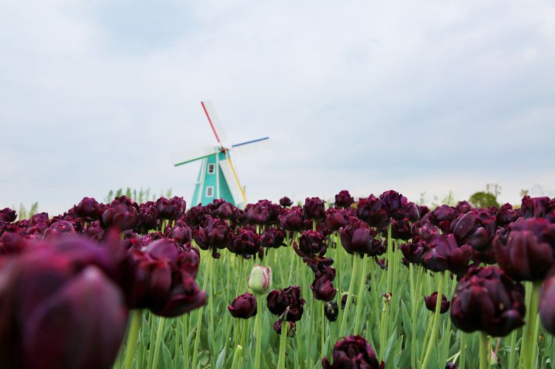 南通旅游攻略必去景点排名,南通紫琅湖公园五一有没有灯光秀