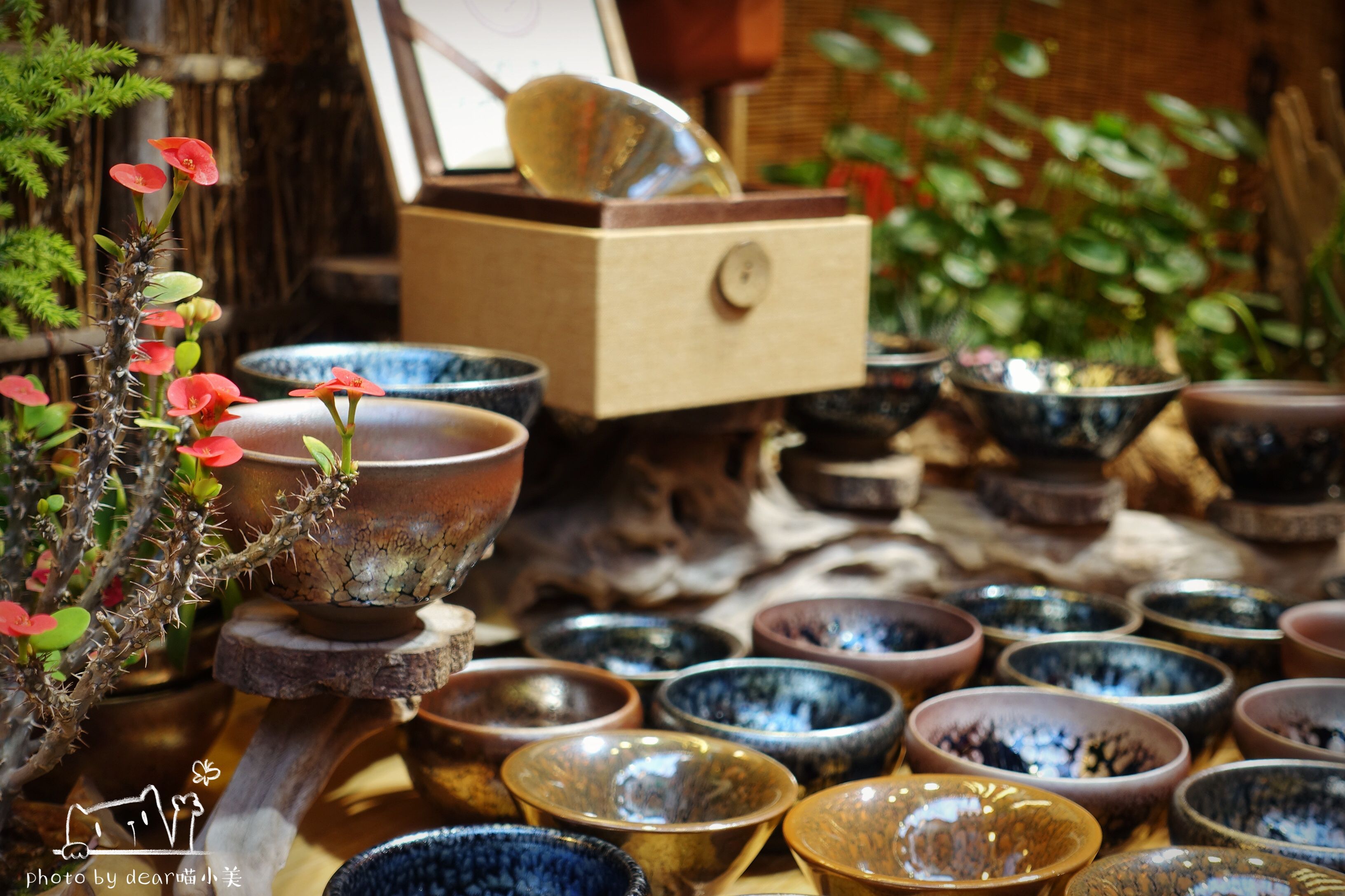 在曾厝垵第一家茶馆，我喝到了最好喝的豆浆茶