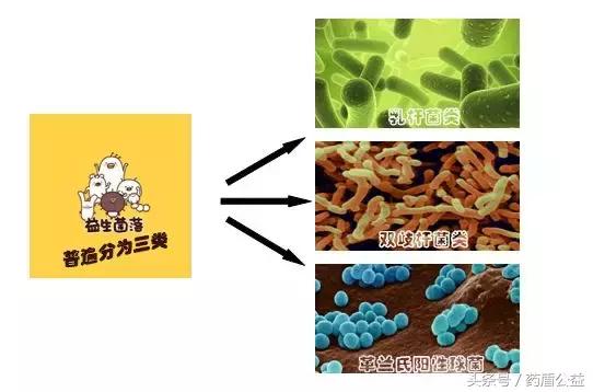 鎴愪汉鑼惰棬瀛愮泭鐢熻弻鍒跺墏,绂忓缓鑼惰棬瀛愮泭鐢熻弻鍒跺墏