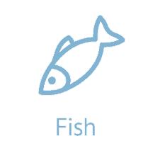 美食航班喊你“立刻登机”