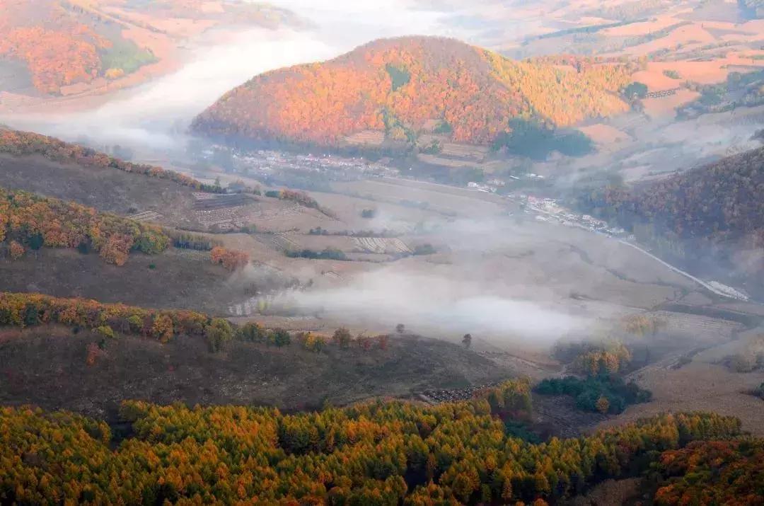 五一不远行也能看重庆,吊水壶国家森林公园和神鹿峰