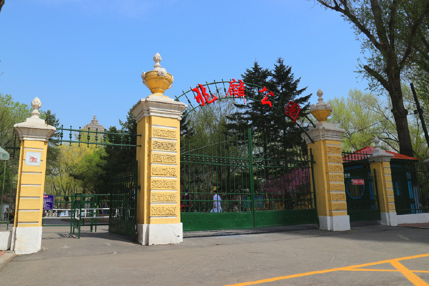 哈尔滨兆麟公园与母校一道之隔，少年时代的顽皮记忆