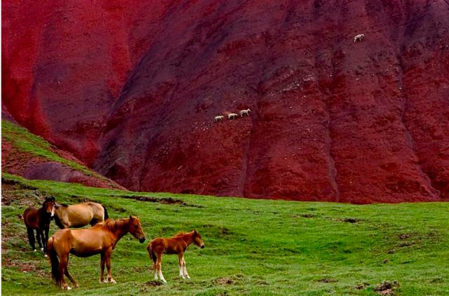 五一出游小短文,五一放假能在疆内游玩吗