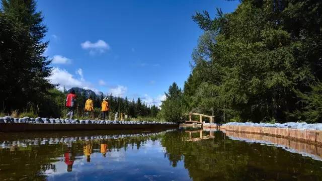 五一出游小短文,五一放假能在疆内游玩吗