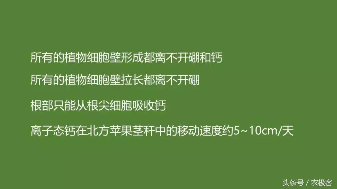 钙硼水溶肥使用方法,看完很受启发的感悟
