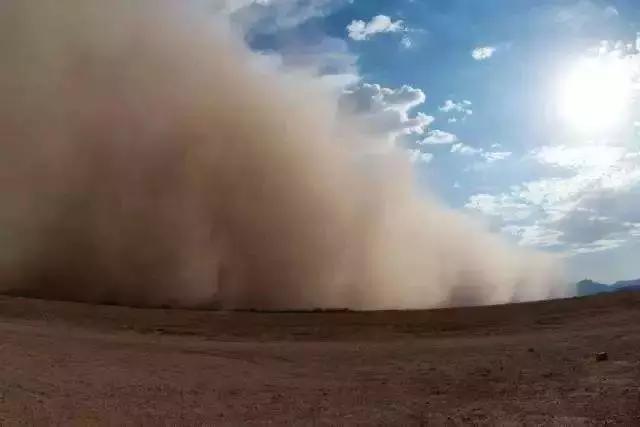 科学家发现了“新器官”?喝活蝌蚪强身健体?4月上榜流言来了