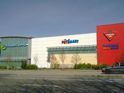 宠物行业风口,宠物行业的发展现状及前景