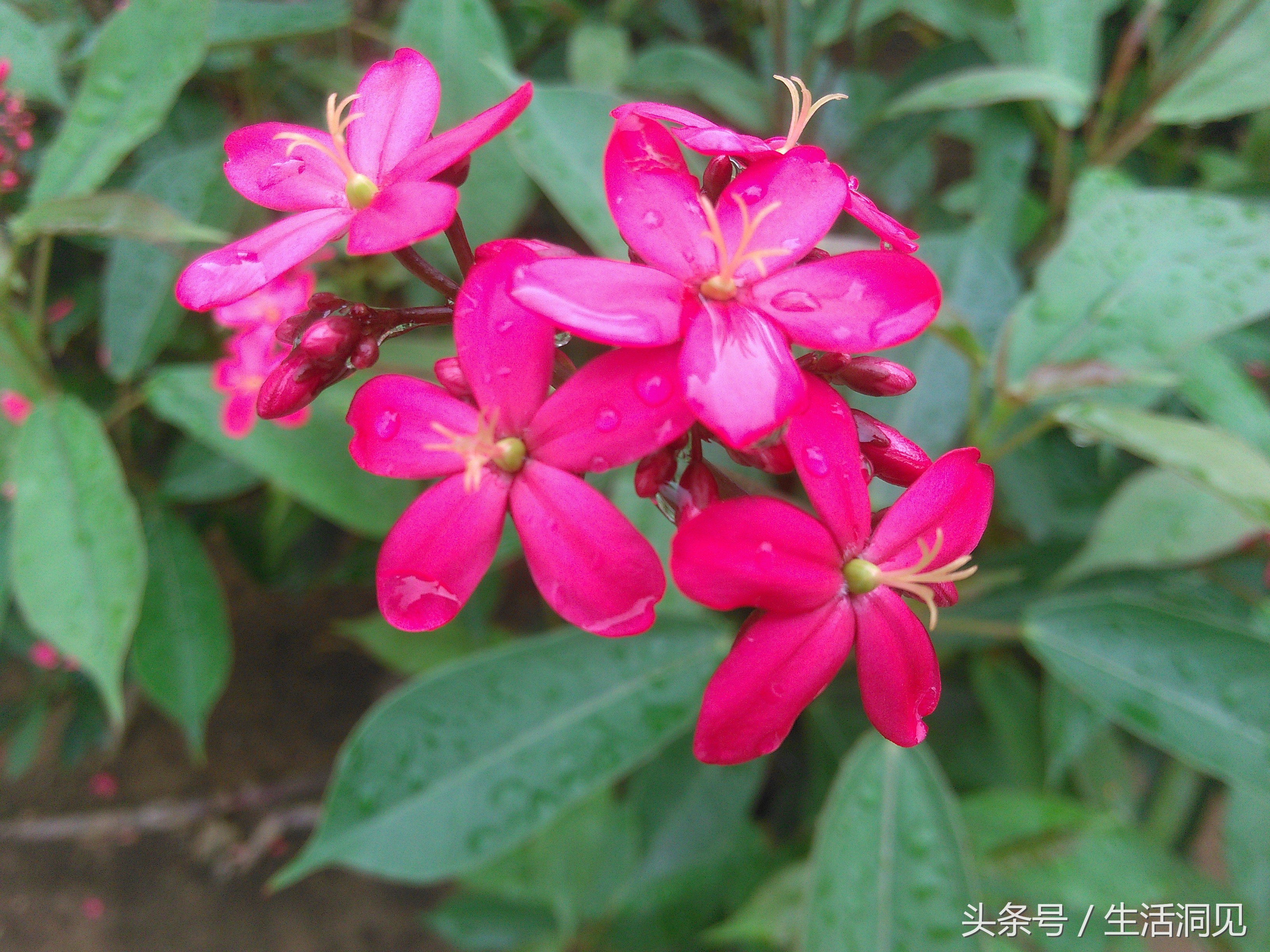 当对生活焦虑压抑了怎么办,当生活感到压抑