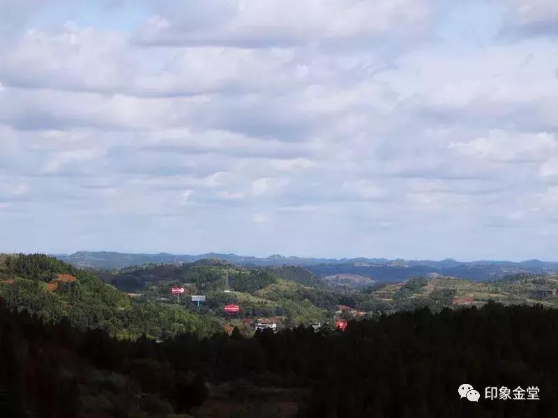 成都市金堂县龙泉山城市森林公园,成都龙泉城市森林公园图