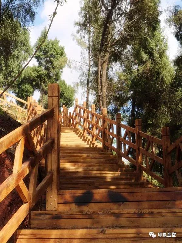 成都市金堂县龙泉山城市森林公园,成都龙泉城市森林公园图