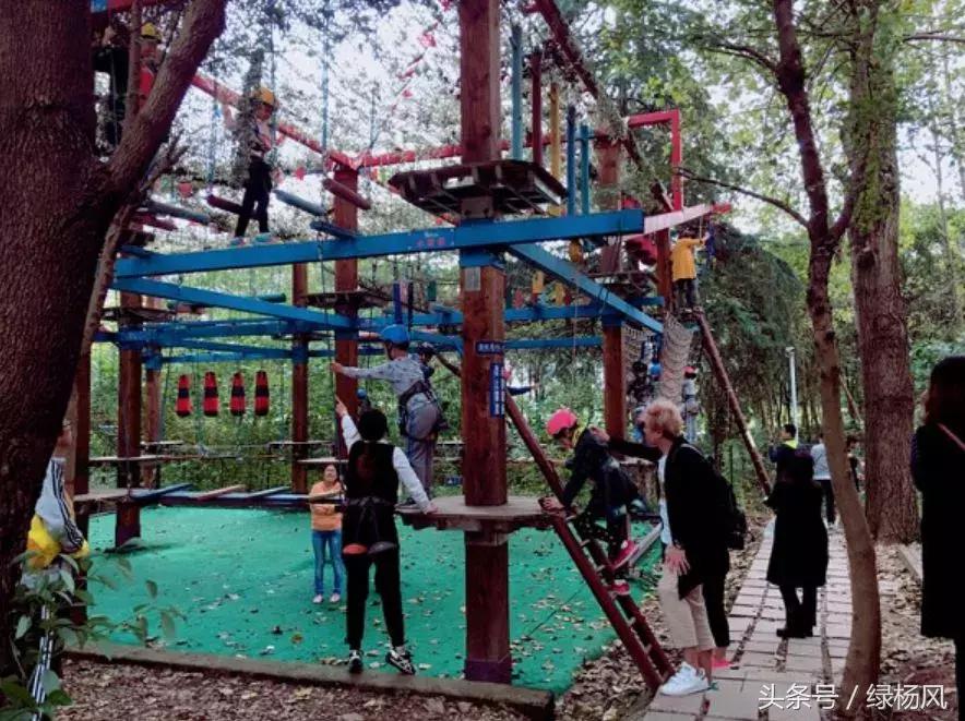 瘦西湖景区门票优惠条件,瘦西湖等国有景区全部免费开放