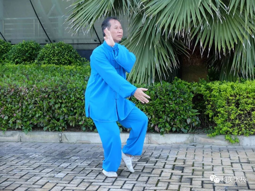 陈雄杨式太极拳基本功讲解,陈雄聊太极拳视频全集