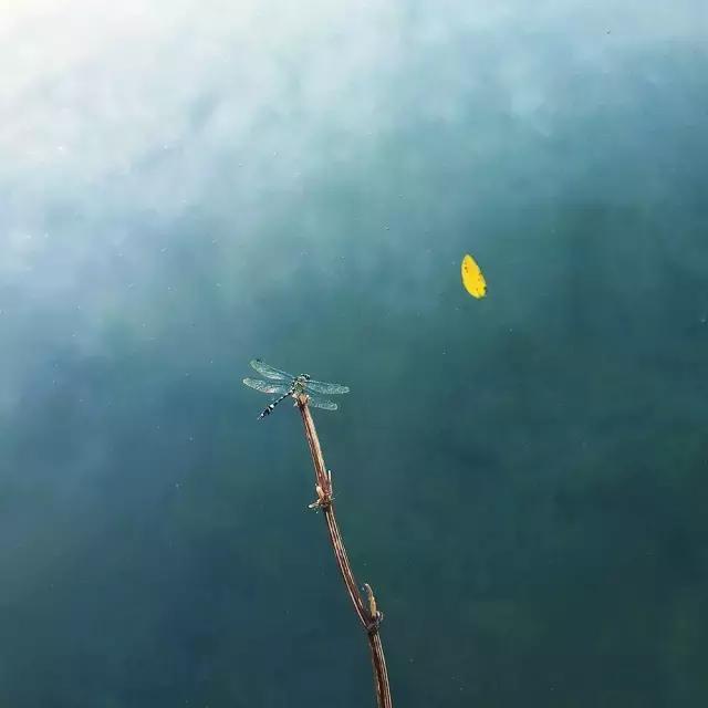 摄影怎么构图10大构图法,简单却实用的摄影技巧