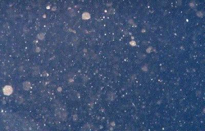 假期一定要给孩子看的20部纪录片,12部适合和孩子一起看的纪录片