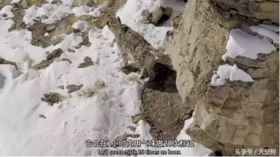 假期一定要给孩子看的20部纪录片,12部适合和孩子一起看的纪录片