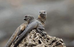 假期一定要给孩子看的20部纪录片,12部适合和孩子一起看的纪录片