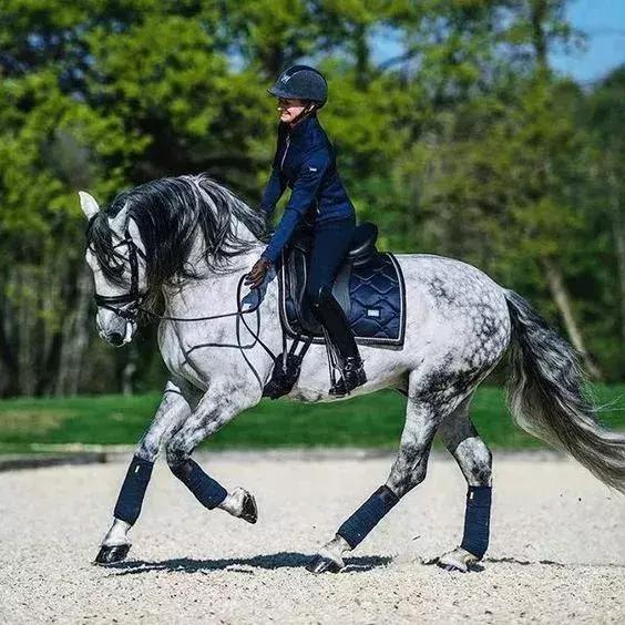 赛前紧张怎么缓解,如何克服赛前紧张的情绪