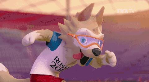 2018俄罗斯看球攻略,2018俄罗斯世界杯现场看球