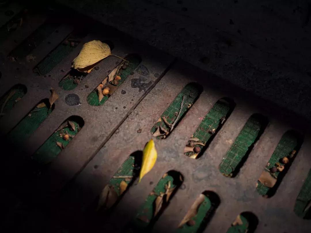 奥林巴斯e-pl9拍摄视频,奥林巴斯e-pl7镜头