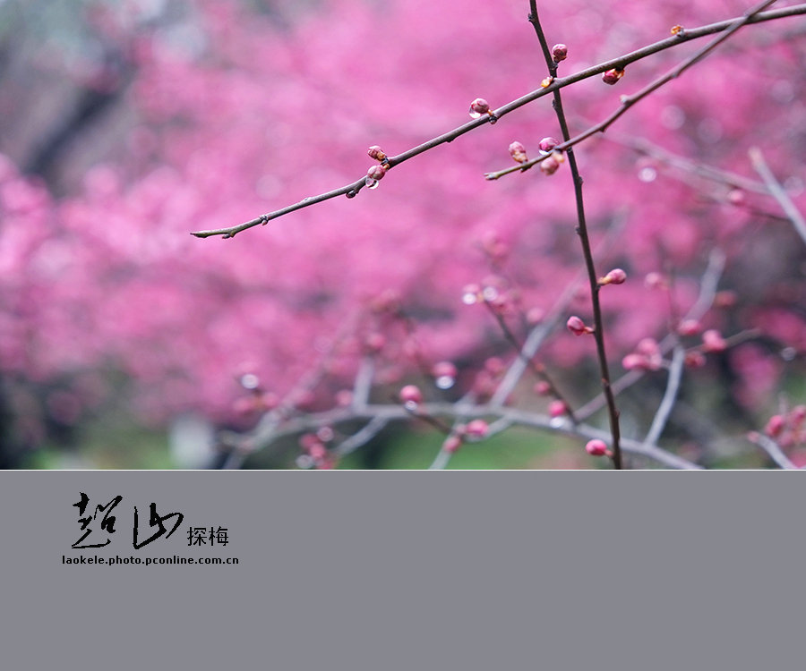 浙江杭州余杭区位置,浙江杭州余杭区地图