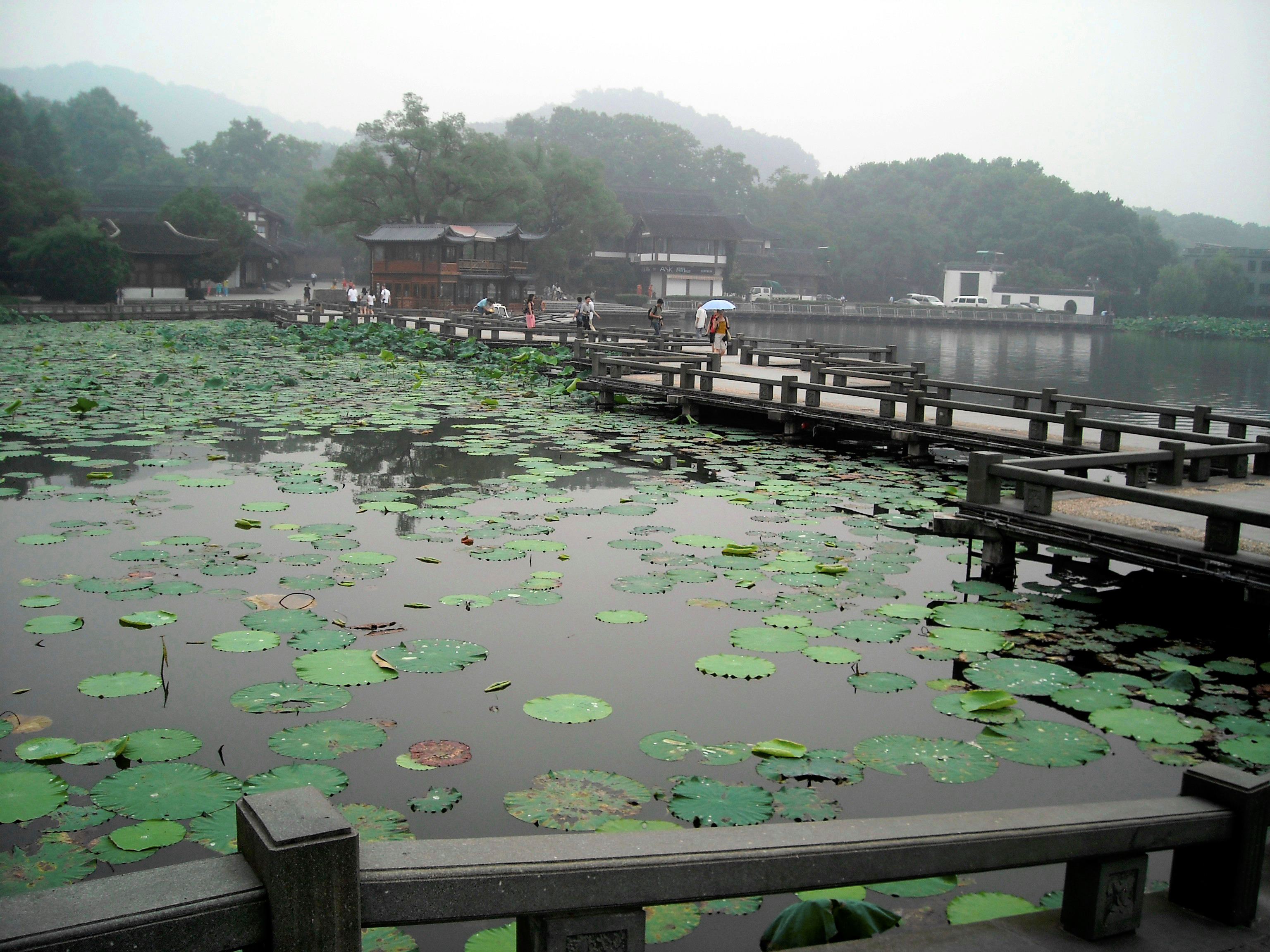 一个四川人的旅行,杭州西湖印象怎么样