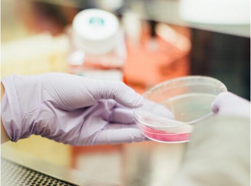 如何鉴别葡萄酒的真伪方法,如何一眼就辨别葡萄酒的真假