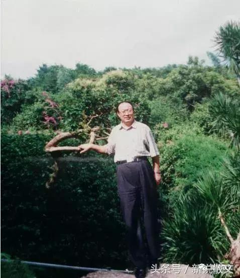 演讲技巧口语表达诀窍教学,演讲的技巧和方法书籍推荐