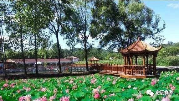 北京有哪些亲子农庄,北京市周边亲子农庄小动物