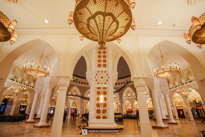 世界第一的迪拜,迪拜豪华足球场