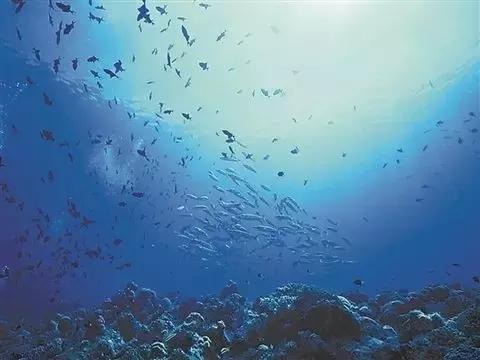 肌肤剧毒，给你推荐一份绿色杂志的护肤理念！