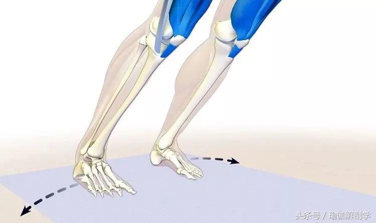 瑜伽下犬式基本功,下犬式瑜伽体式为什么重要