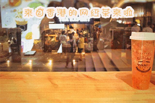 广西网红茶,爆款网红茶